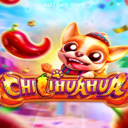 Exploring CHILIHUAHUA: A Spicy Adventure on ED7.BET